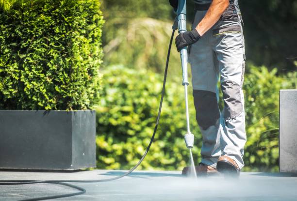 Best Graffiti Removal  in Mcdonough, GA
